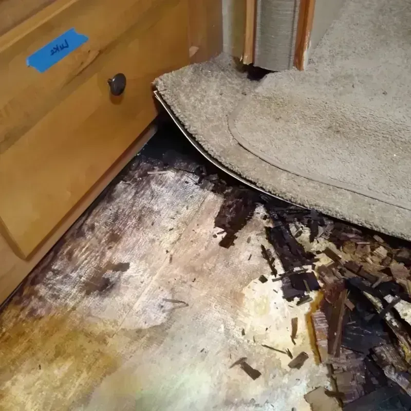 Wood Floor Water Damage in Saint James, NC